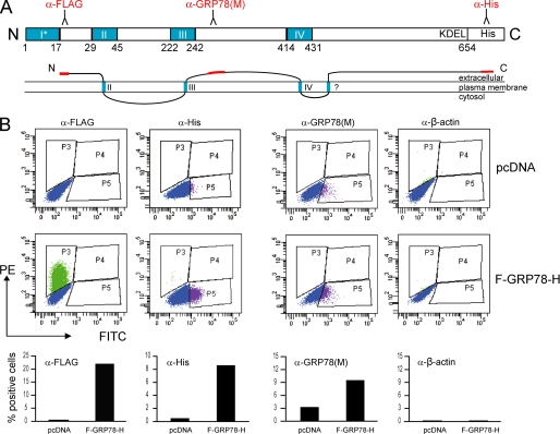 FIGURE 9.