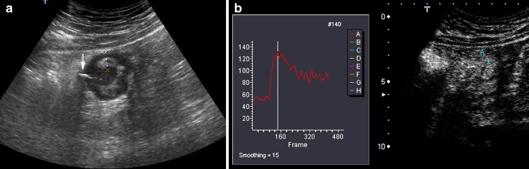 Fig. 9