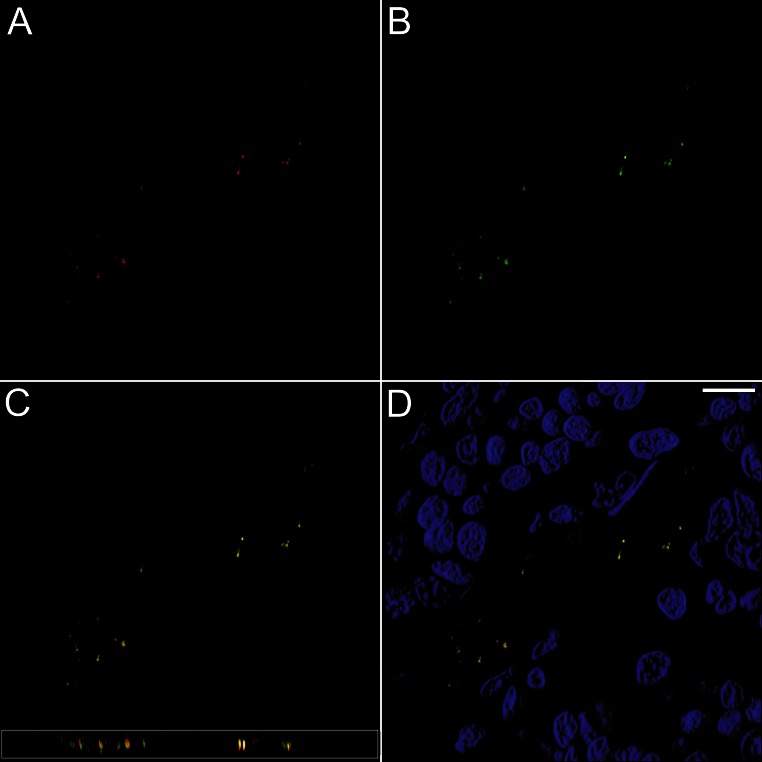 Fig. 3