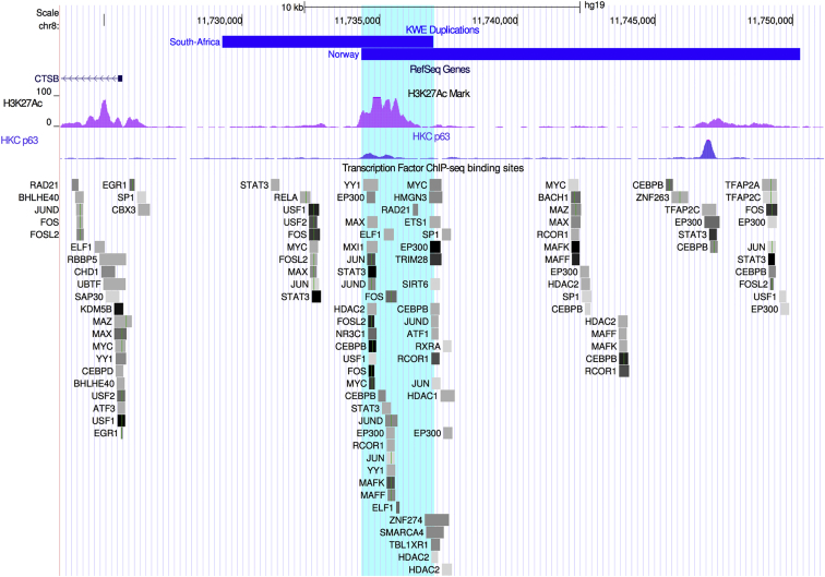 Figure 3