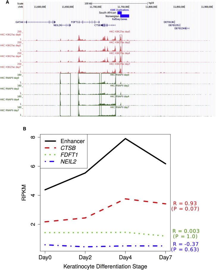 Figure 4