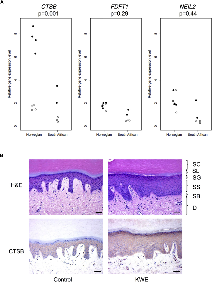 Figure 6