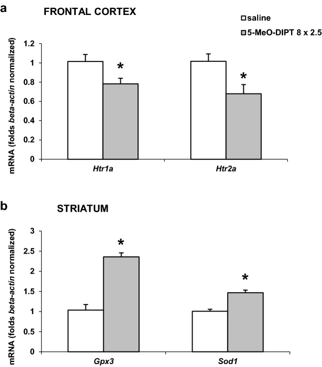 Fig. 7