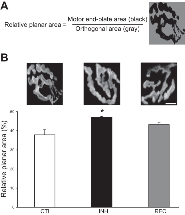 Fig. 3.