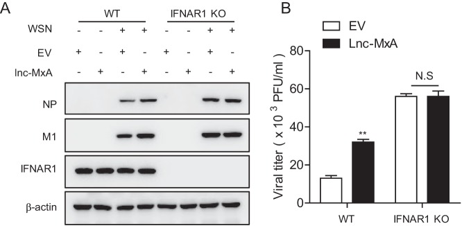 FIG 7