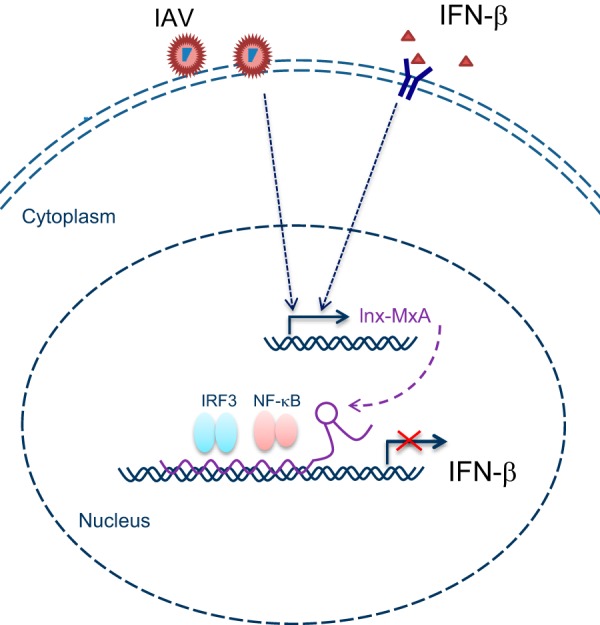 FIG 8