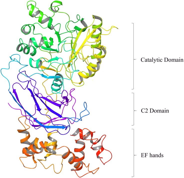 FIGURE 1