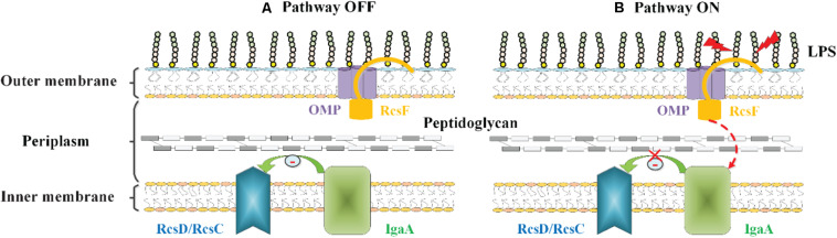 FIGURE 4