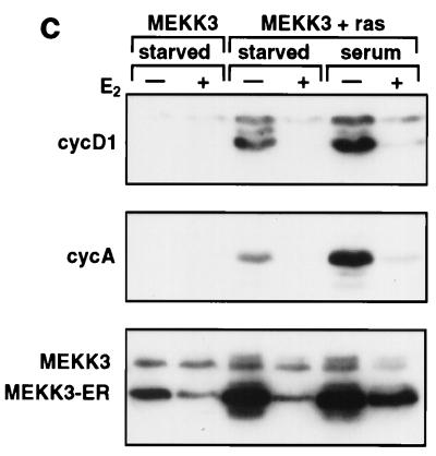 FIG. 8