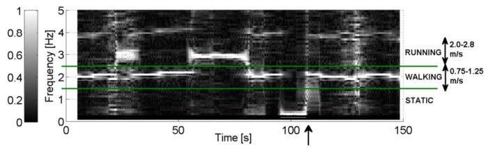 Figure 13.