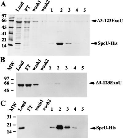 FIG. 8