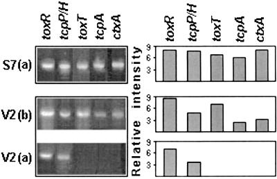 FIG. 5.