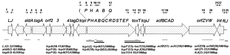 FIG. 1.