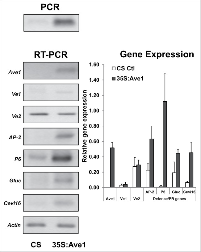 Figure 1.