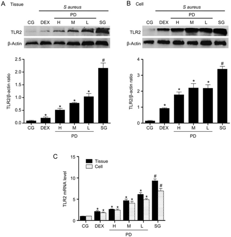 Figure 6