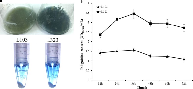 Fig. 6