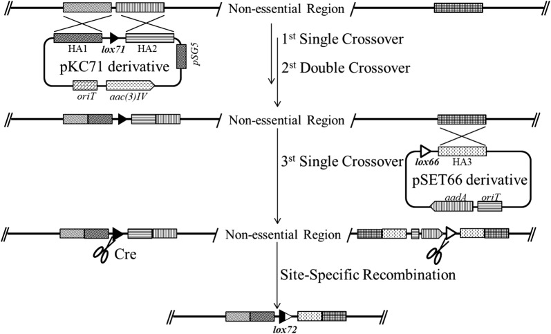 Fig. 3