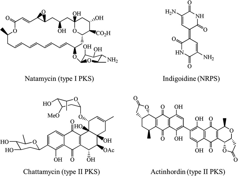 Fig. 10