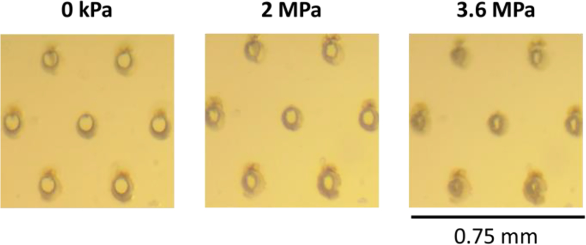 Fig.13.