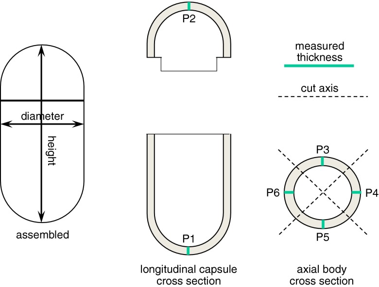 Fig. 1