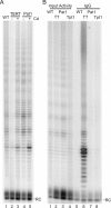 FIGURE 6: