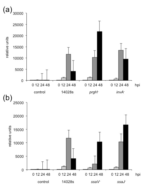 Figure 12