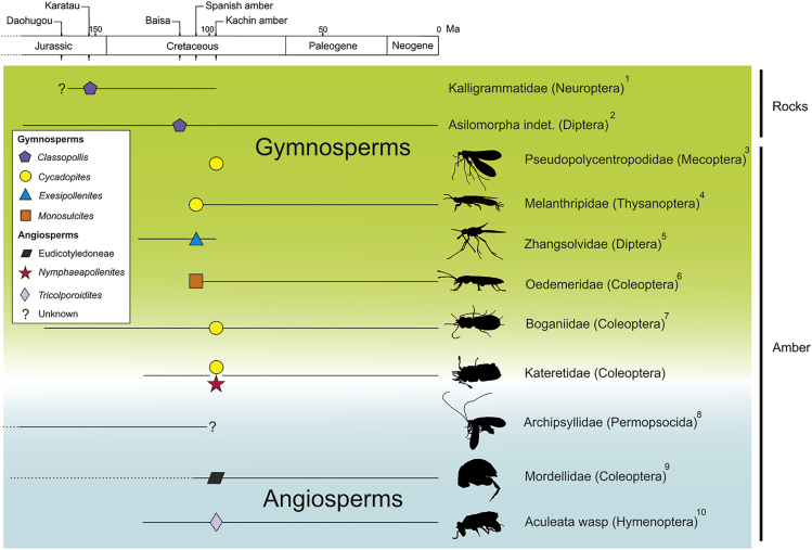 Figure 4