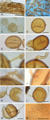 Fig. 3.