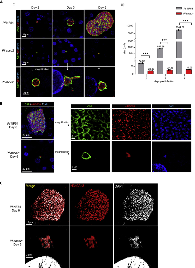 Figure 3