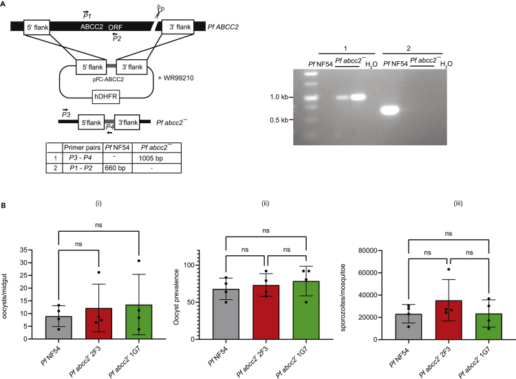 Figure 2