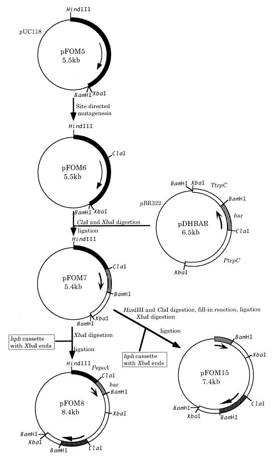 FIG. 7