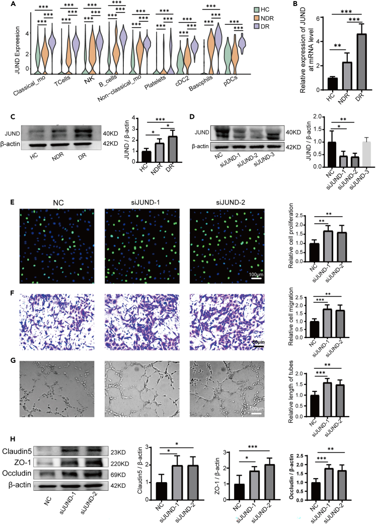 Figure 6