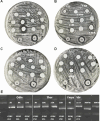 Fig. 3