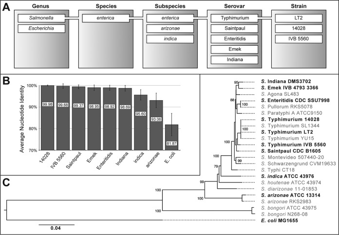 FIG 3 