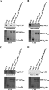 FIG 3