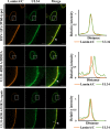 FIG 11