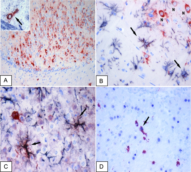 FIG. 4.