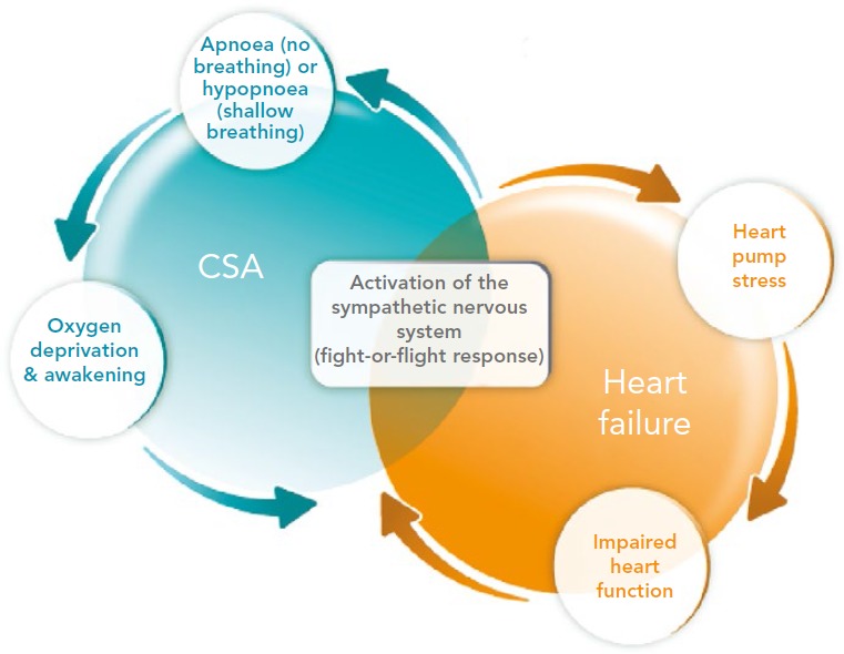 Figure 2: