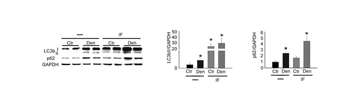 Fig 3.