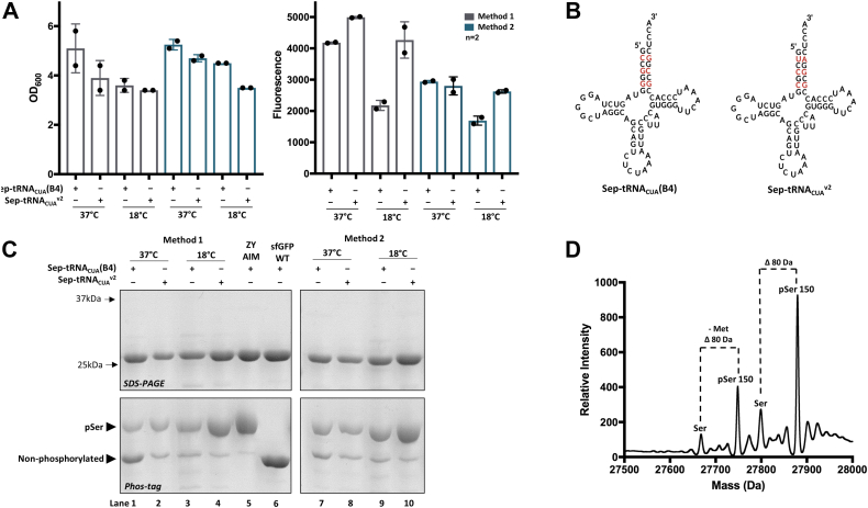 Figure 3