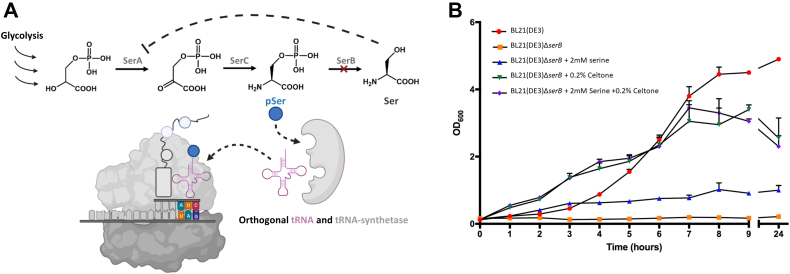 Figure 1