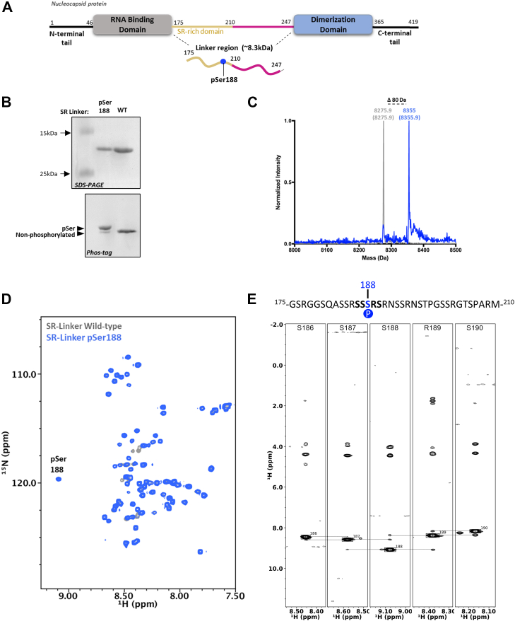 Figure 6