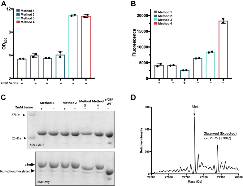 Figure 4