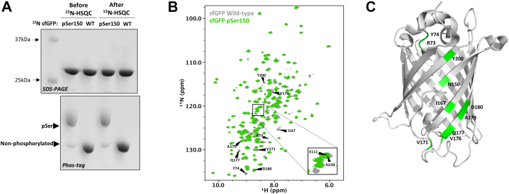 Figure 5