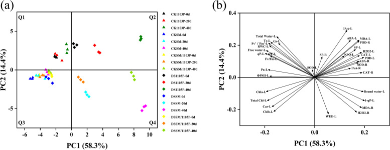 Fig. 11