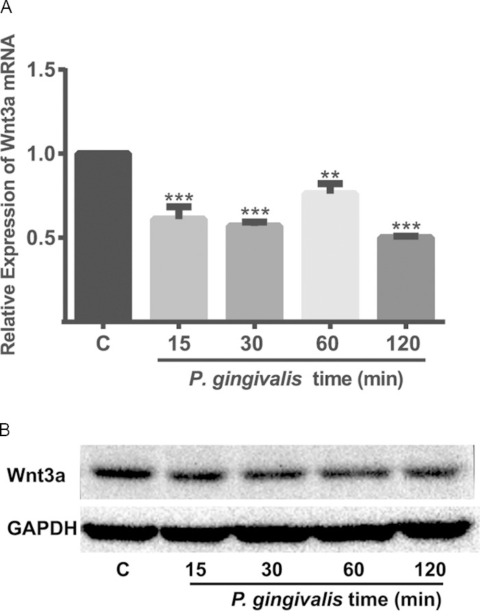 FIG 9