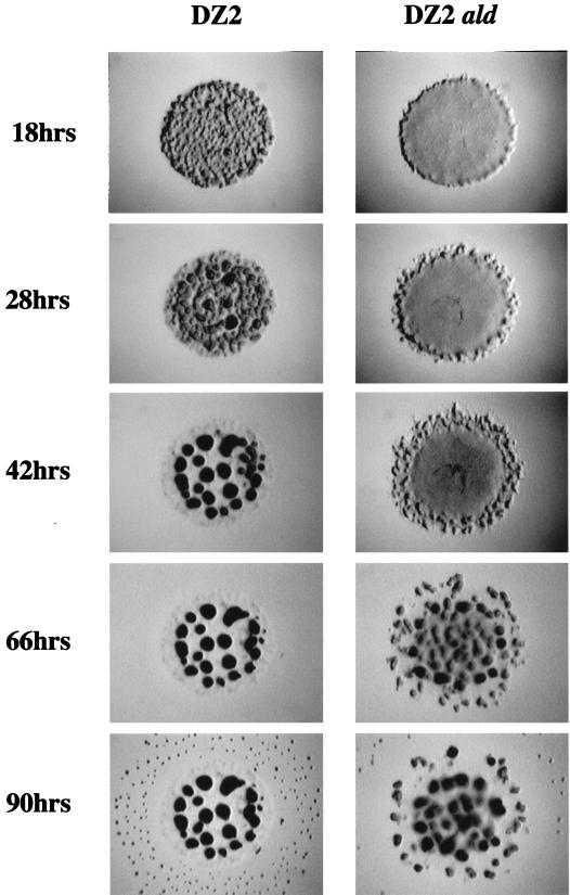 FIG. 4