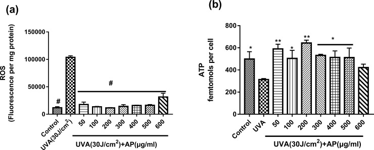 Fig 5