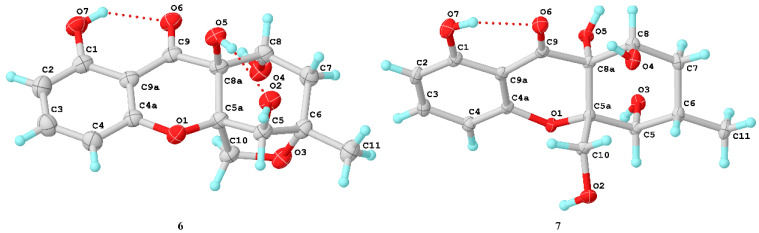 Figure 7