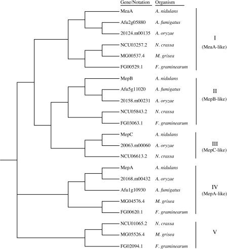 FIG. 8.